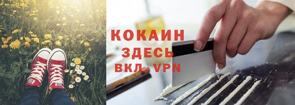 дмт Лагань