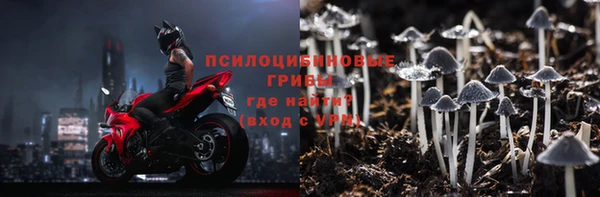 скорость Ладушкин