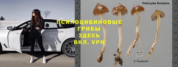 хмурый Кукмор