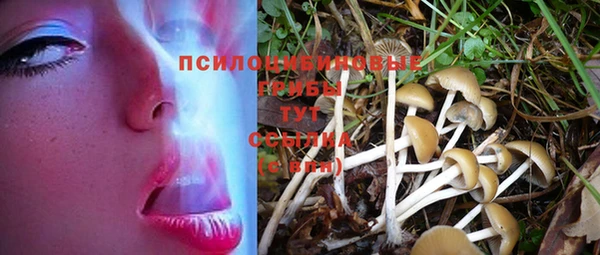 дживик Куйбышев
