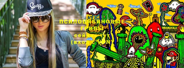 дмт Лагань