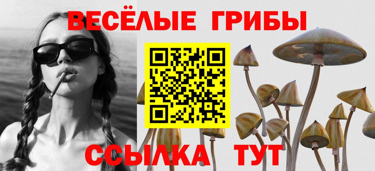 Галлюциногенные грибы MAGIC MUSHROOMS Уссурийск