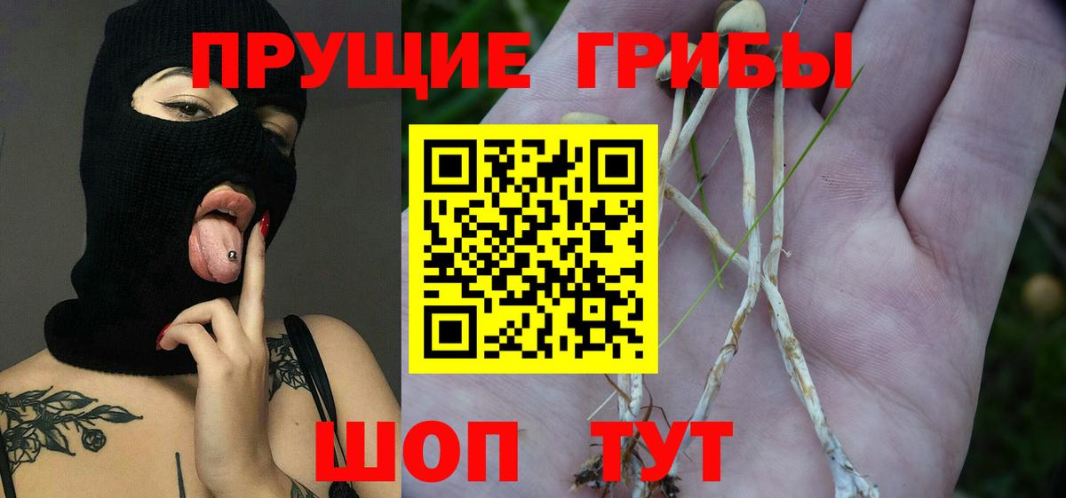 сколько стоит  Псилоцибиновые грибы GOLDEN TEACHER  Галлюциногенные грибы ЛСД  Вход с VPN  Уссурийск 